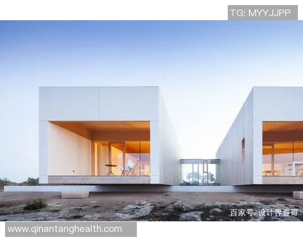 加莱诺的艺术世界探索与创作灵感的深度解析与反思